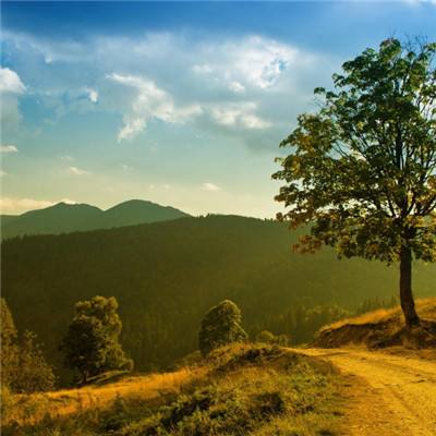 外围皇冠体育下载